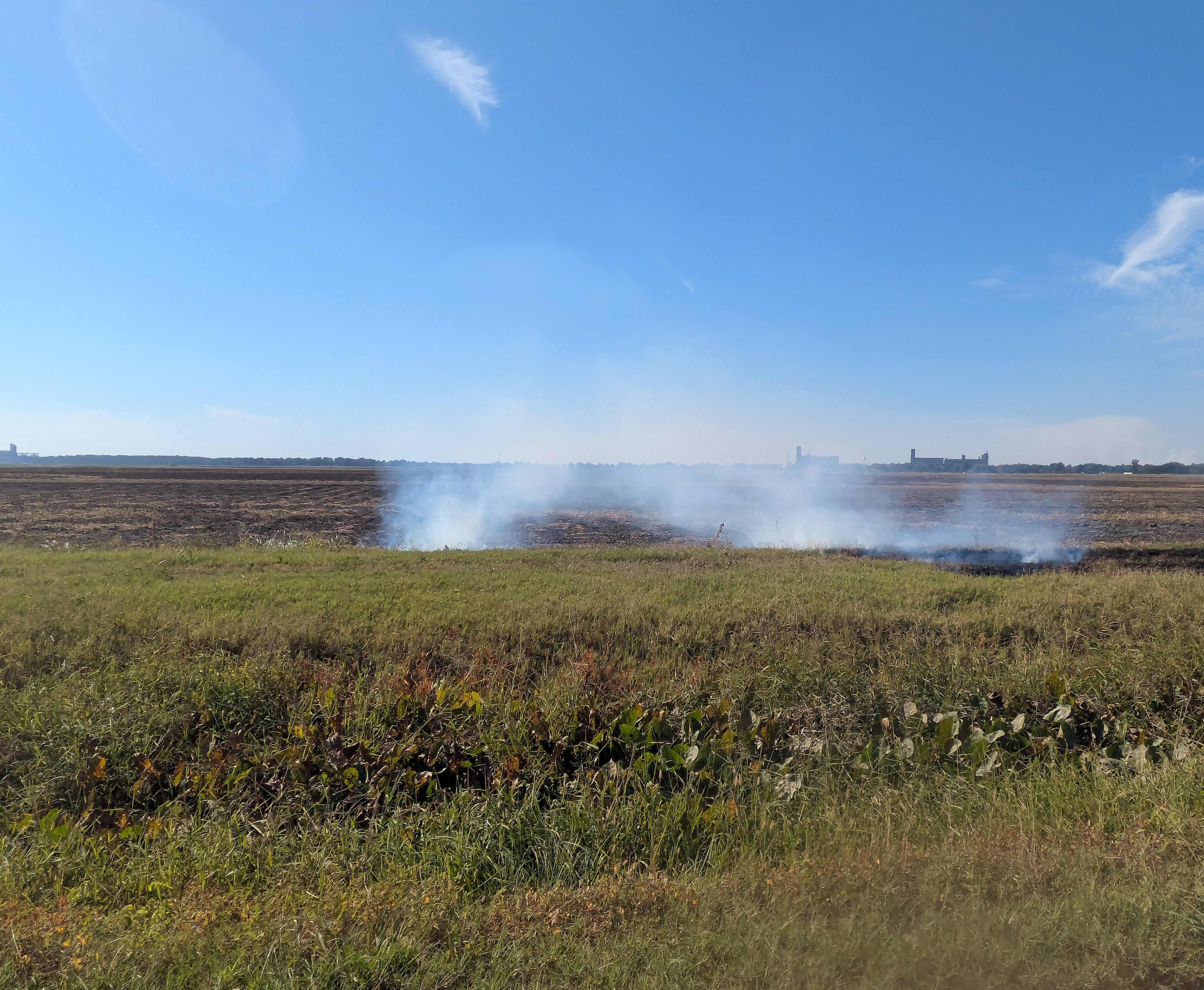 Prescribed burn in Jonesboro, Arkansas