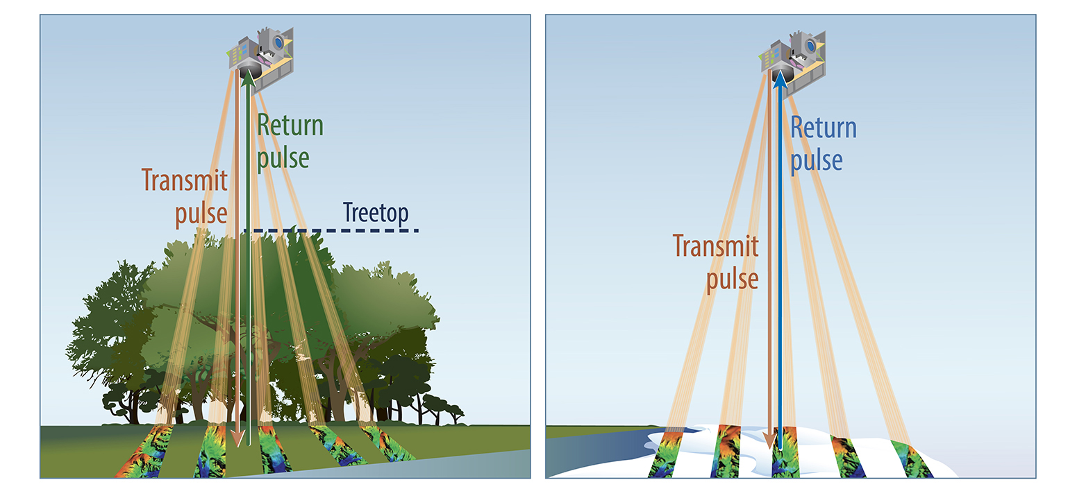 3-D structure forest