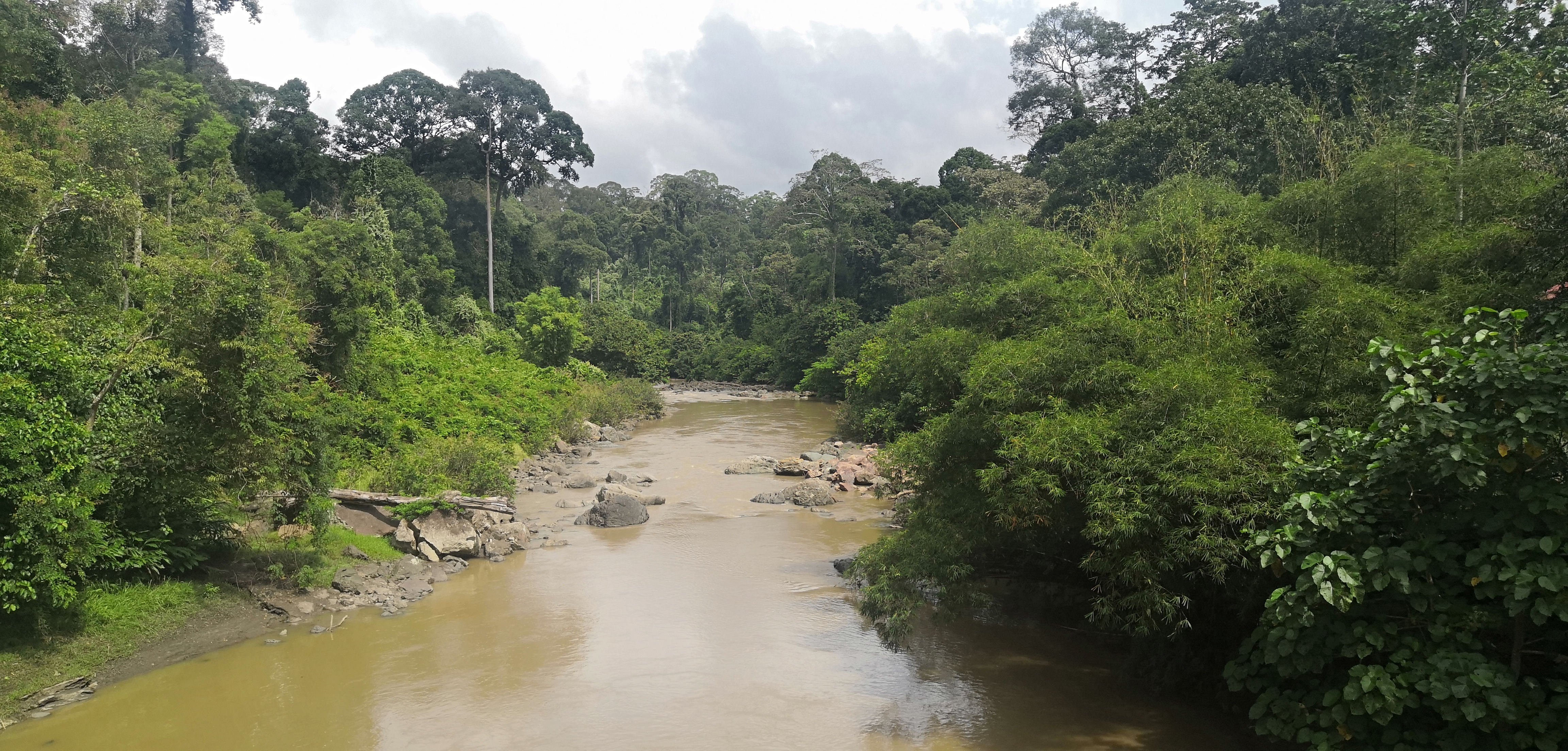 A murky, brown river winding through a dense tropical rainforest under an overcast, cloudy sky, flanked by rocky banks and lush, tall green trees.