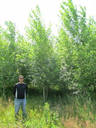 Ritvik Sahajpal standing in front of trees