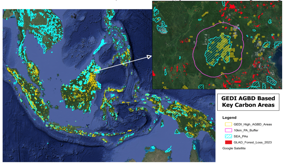 Map of Key Carbon-Rich Areas and Protected Zones in Southeast Asia: Highlights carbon-dense regions (Yellow) and existing protected areas (Cyan). Also shows vulnerable areas experiencing forest disturbance (Red) within and around these regions.