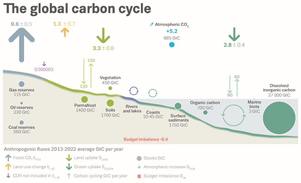 carbon cycle