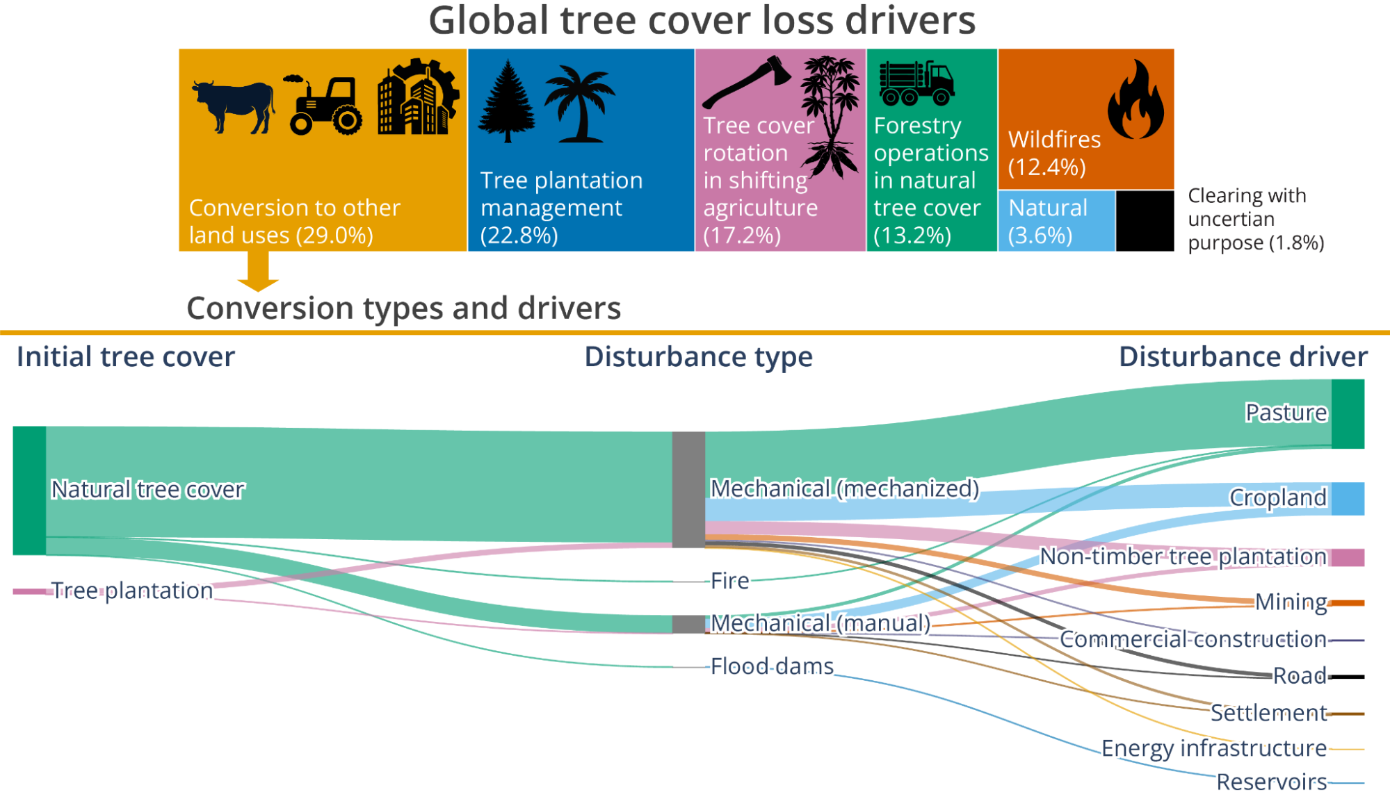 An infographic titled 