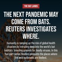 screenshot of website featuring Reuters' series