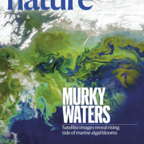 nature cover murky waters 