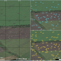 Examples of the reference (labeled) and detected craters by the U-Net model. In this example, the detection success between multiple groundcover variations can be seen, with correct detections in both bare soil and green grass fields. (c) 2014, Maxar.