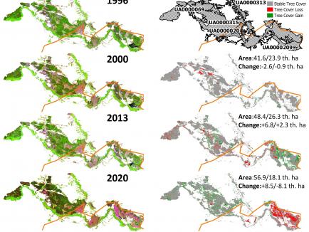 map showing land cover change between 1996 and 2020