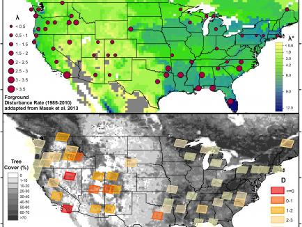 Geographic variation in estimated threshold disturbance rates