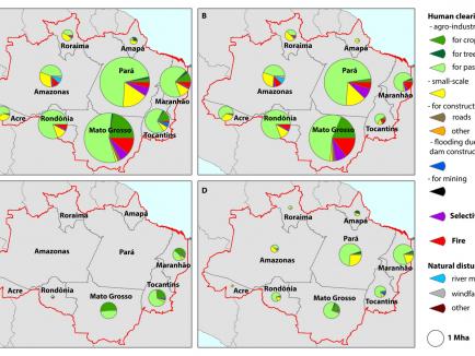 *2000-2013 state-level tree cover loss area estimates*