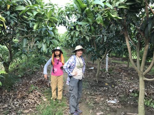 Southern Vietnam fieldwork