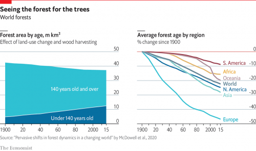Forest trends