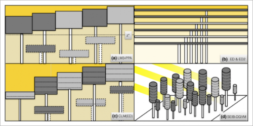 Organization of canopy schemes in four vegetation demographic models