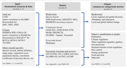 Input–models–output flowchart of BES-SIM