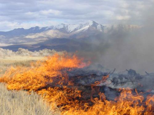Wildfire near mountains