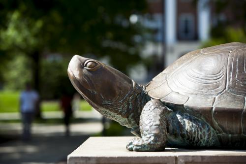 Testudo statue on sunny day