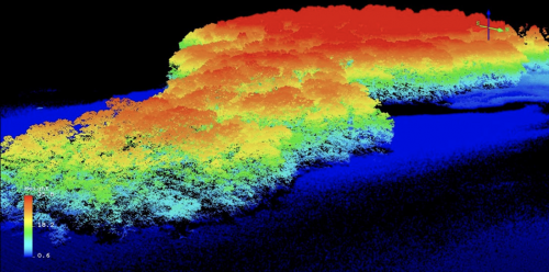 LiDAR measurement over forest