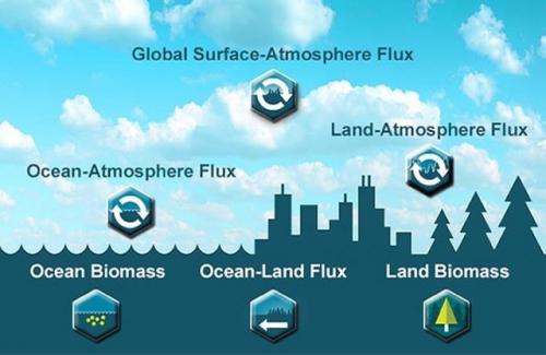 Carbon Monitoring