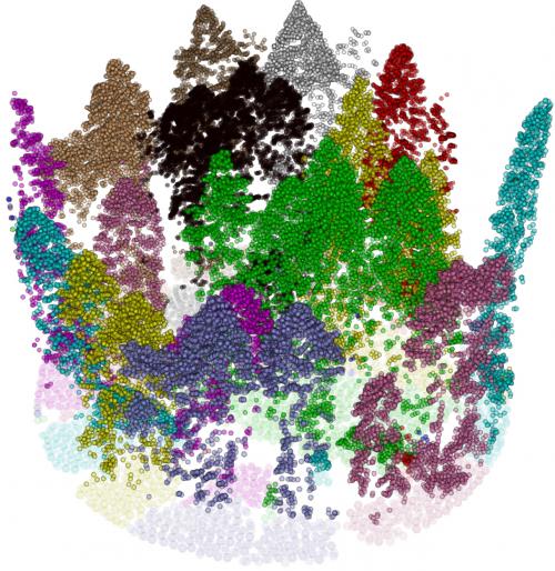 point display of data