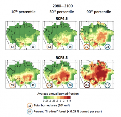 Annual burned fraction projected in HESFIRE for 2080– 2100 varies across models and climate scenarios
