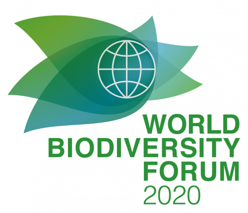 WBF 2020