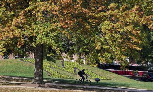 University of Maryland campus view of landscaped M