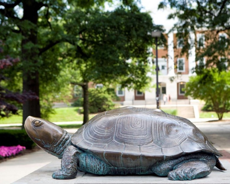 Testudo statue.