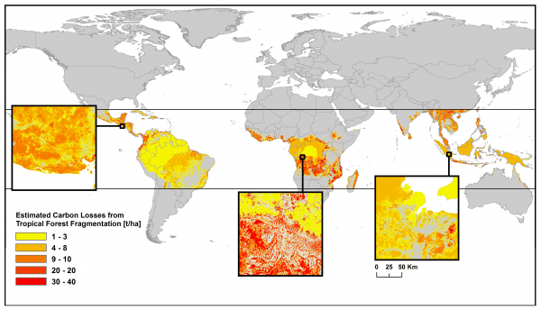 High resolution analysis of tropical forest fragmentation and its ...