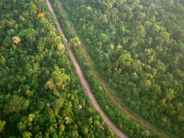 Aerial shot of the lush, green Amazon showing two parallel roads 