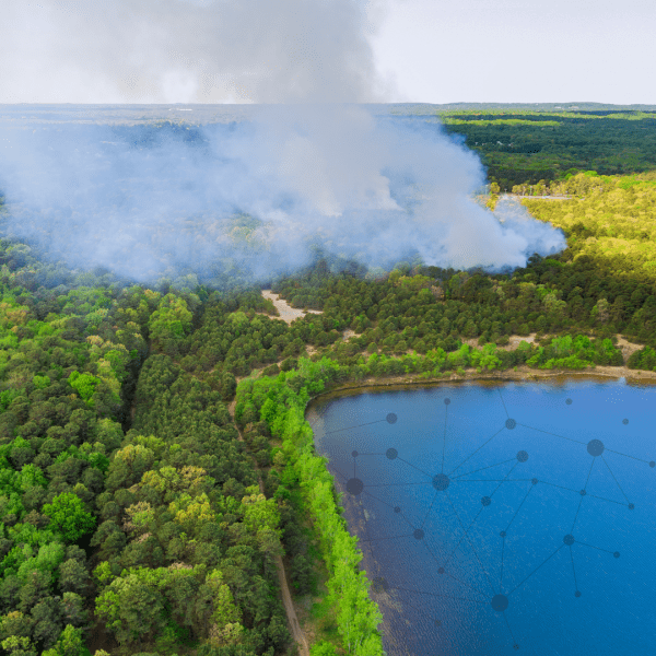 Heavy smoke rises from a forest fire near a pond, superimposed by network lines