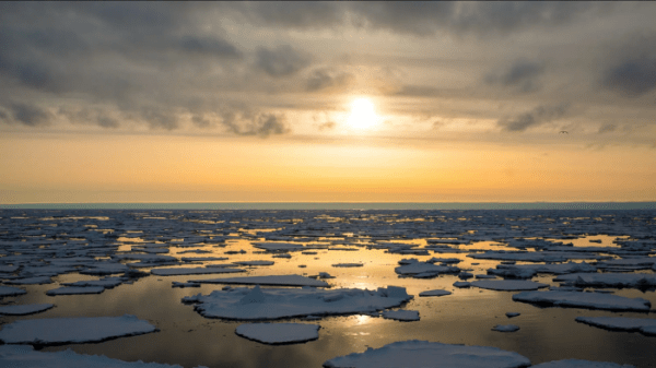 Sunset on the sea highlights floating melting ice.