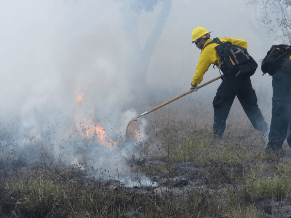 Firefighters monitor the edge of the Flamingo Prescribed fire on the Everglades National Park. 