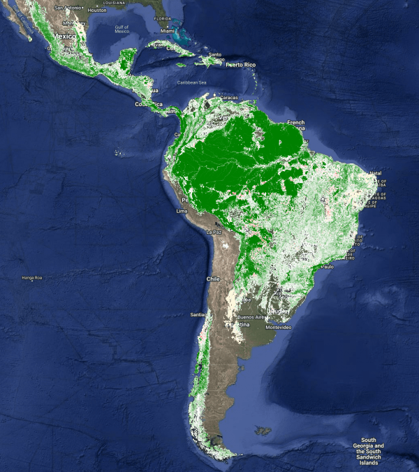 The map shows percent tall woody cover (> 5m tall) in shades of green ((0 to 100%, light to dark green), short woody vegetation cover (<5 m) in white, woody vegetation cover decrease in red, and decrease - in blue