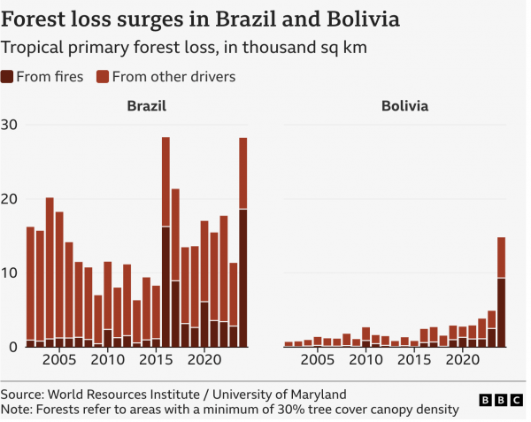 Source: World Resources Institute / University of Maryland Note: Forests refer to areas with a minimum of 30% tree cover canopy density