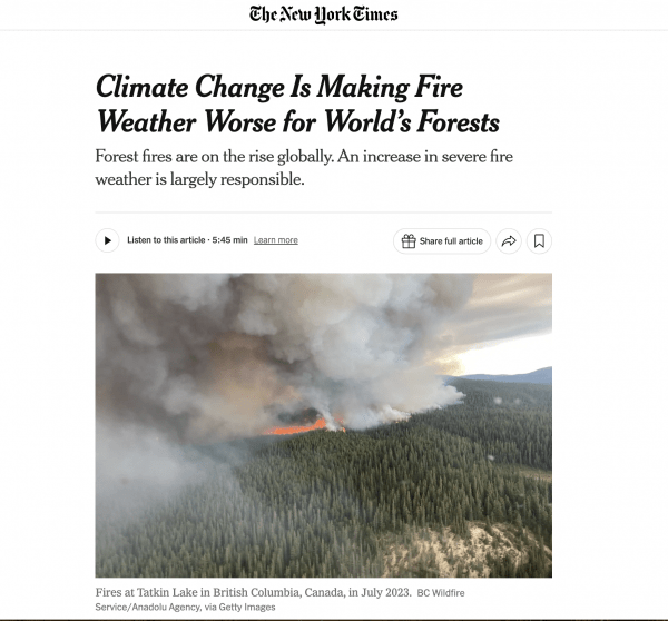 Screenshot of The New York Times website