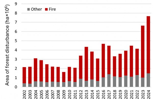 Figure show annual area of forest disturbance due to fire by climate domain globally, 2002 to 2024.