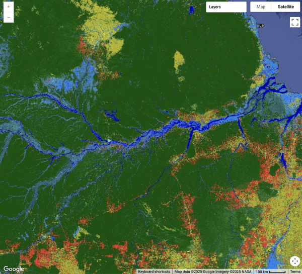 Zoomed-in view of the Amazon River from the global land cover and land use change map (2000–2020)