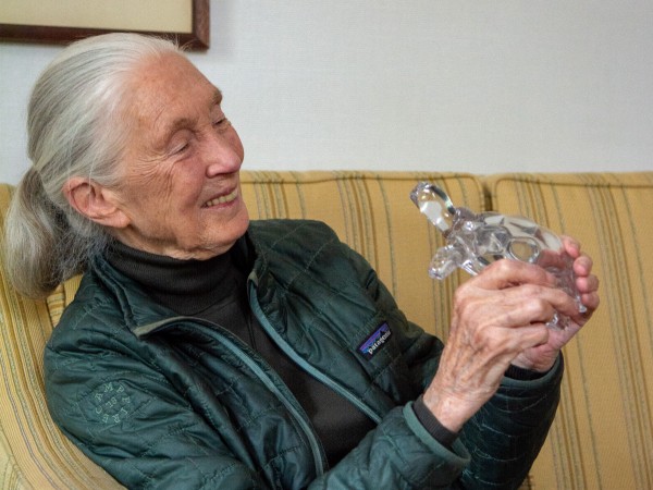 A woman with white hair in a ponytail smiles as she looks at a glass turtle she's holding.