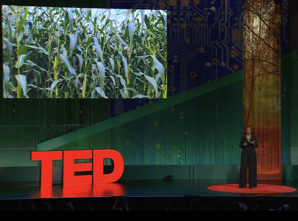 A woman in a black jumpsuit presents on a TED stage with a green circuit-board backdrop and a large screen showing a corn crop.