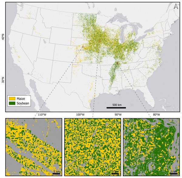  A map of the United States showing the geographic distribution of maize and soybean crops, primarily concentrated in the Midwest and along the Mississippi River.