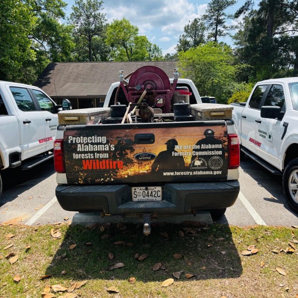 A rear view of a white Ford pickup truck belonging to the Alabama Forestry Commission, parked in a lot under a bright sun. The tailgate features a graphic wrap of a wildfire at sunset with the silhouettes of two firefighters and the text, "Protecting Alabama’s forests from Wildfire." Mounted in the truck bed is a large red fire hose reel and specialized firefighting equipment. Similar agency vehicles are visible on either side, and the background shows a building tucked behind lush green trees.