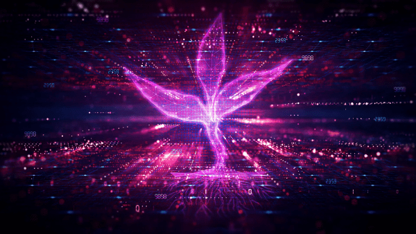A glowing neon-pink digital plant sprouts from a luminous base, with translucent geometric leaves made of interconnected lines and polygons. The plant is surrounded by streams of light, floating numbers, and a futuristic data network in shades of purple, magenta, and blue, symbolizing technology-driven growth, innovation, or digital transformation.