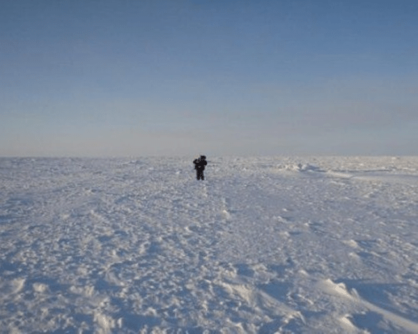A lone person stands in the middle of a vast, snowy Arctic tundra under a clear, pale blue sky.