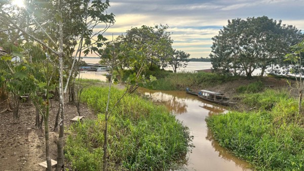 A muddy river inlet flanked by lush green grass and dense tropical trees, with small wooden boats docked along the bank under a bright, cloudy sky.