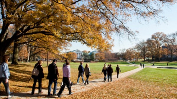 students walking on the UMD campus next to a tree with yellow leaves