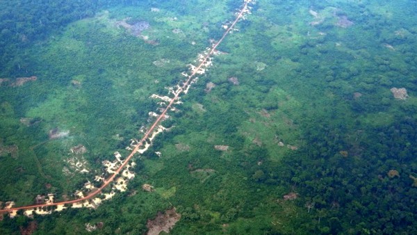 The forests of the Democratic Republic of Congo have been a hit hard by agricultural land-clearing, part of the growing threat to old-growth forests throughout the Congo Basin.  (Giuseppe Molinario, UMD)