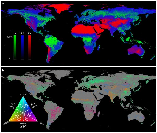 Global land change