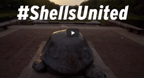 Thumbnail for #ShellsUnited Video showing Terrapin statue looking out at McKeldin Mall