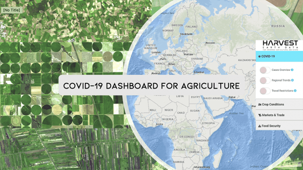 COVID dashboard