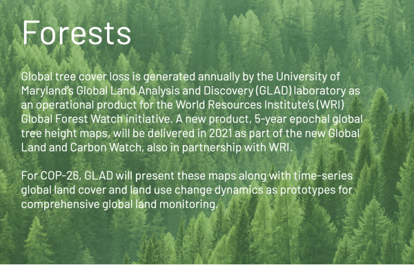  Forests  Global tree cover loss is generated annually by the University of Maryland’s Global Land Analysis and Discovery (GLAD) laboratory as an operational product for the World Resources Institute’s (WRI) Global Forest Watch initiative. A new product, 5-year epochal global tree height maps, will be delivered in 2021 as part of the new Global Land and Carbon Watch, also in partnership with WRI.  For COP-26, GLAD will present these maps along with time-series global land cover and land use change dynamics.