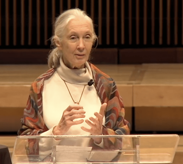 A woman with white hair in a ponytail addresses the audience from a podium, sharing her insights and experiences at a formal gathering.